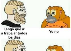 Enlace a ¿Cómo hemos llegado a esto?