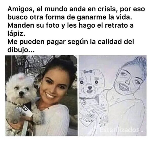 Otros - Buscando nuevas fuentes de ingresos