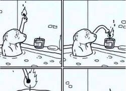 Enlace a El paraíso perruno