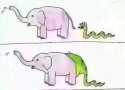 Enlace a Así nacieron los dinosaurios