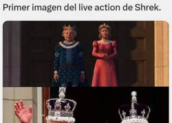 Enlace a Deberían ser ellos