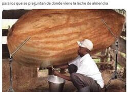 Enlace a Misterio resuelto