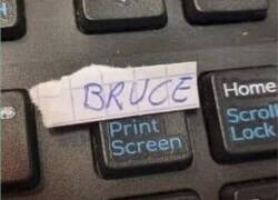 Enlace a Mi tecla favorita del teclado