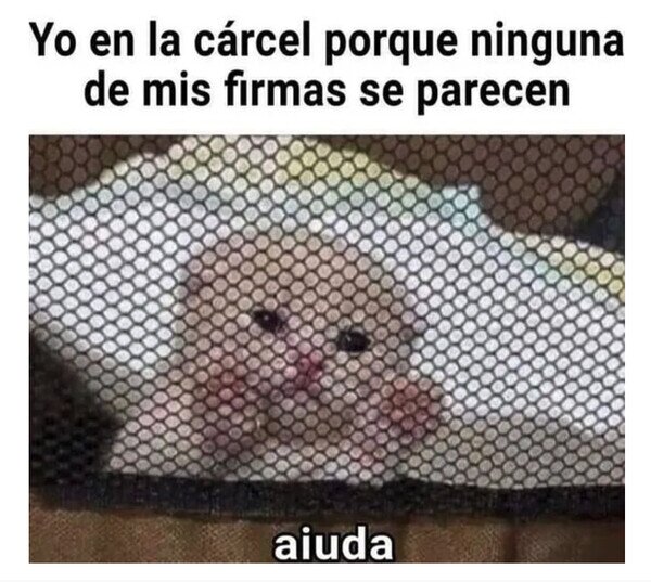 cárcel,firmas,diferentes,firmar