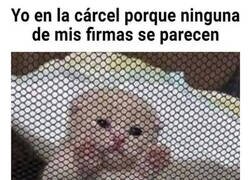 Enlace a No tengo una fija