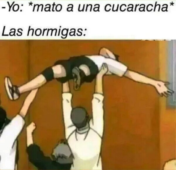 Otros - ¿Qué quieren hacer con el cuerpo?