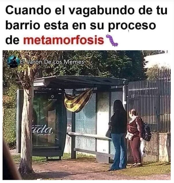 Meme_otros - Pronto será una bella mariposa