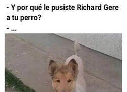 Enlace a Me vi en la obligación