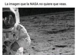 Enlace a Michi espacial