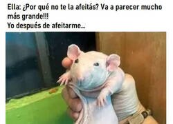 Enlace a ¿Funcionó?