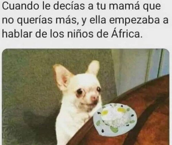 Meme_otros - ¿Qué culpa tendré yo?