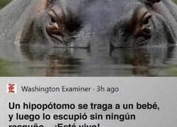 Enlace a Equivocación