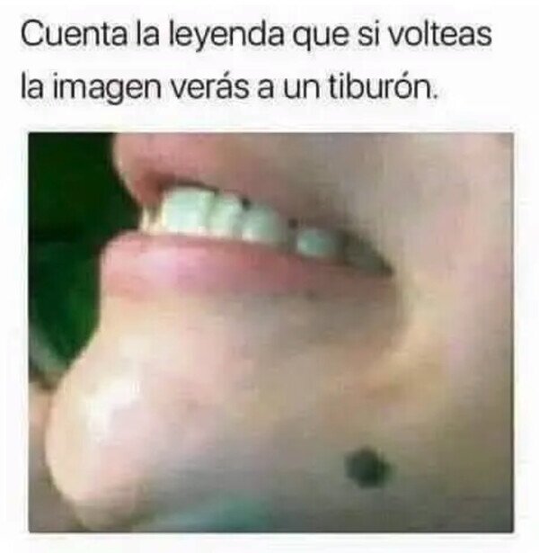 Otros - ¿Tú también lo ves?