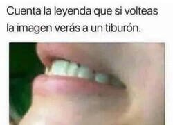 Enlace a ¿Tú también lo ves?