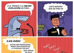 Enlace a Yo también hubiera votado por las aves