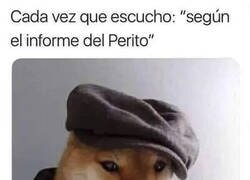 Enlace a Querría leer ese informe