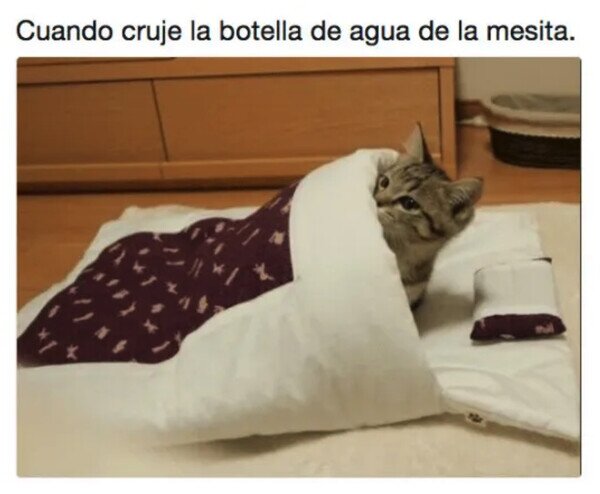 Otros - Esa maldita botella siempre me asusta