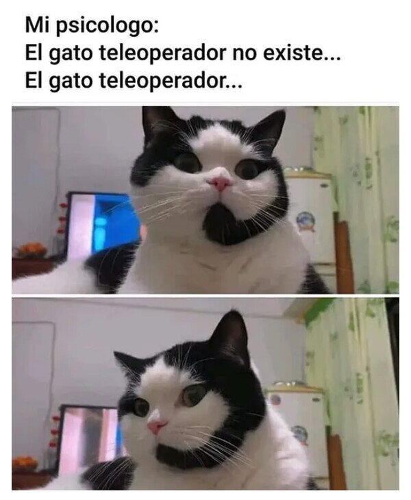 Meme_otros - Miau, dígame