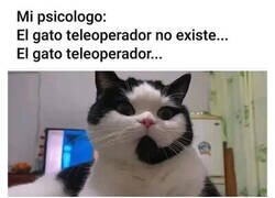 Enlace a Miau, dígame