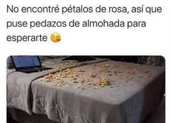 Enlace a Todo un romántico el Firulais