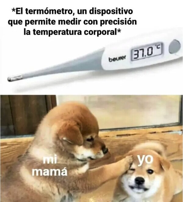 Meme_otros - Así se mide la fiebre en mi casa