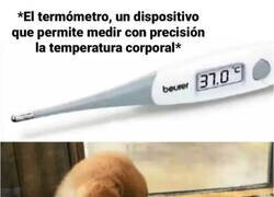 Enlace a Así se mide la fiebre en mi casa