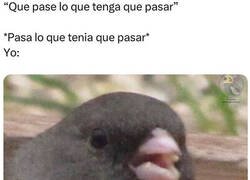 Enlace a Siempre me pilla por sorpresa