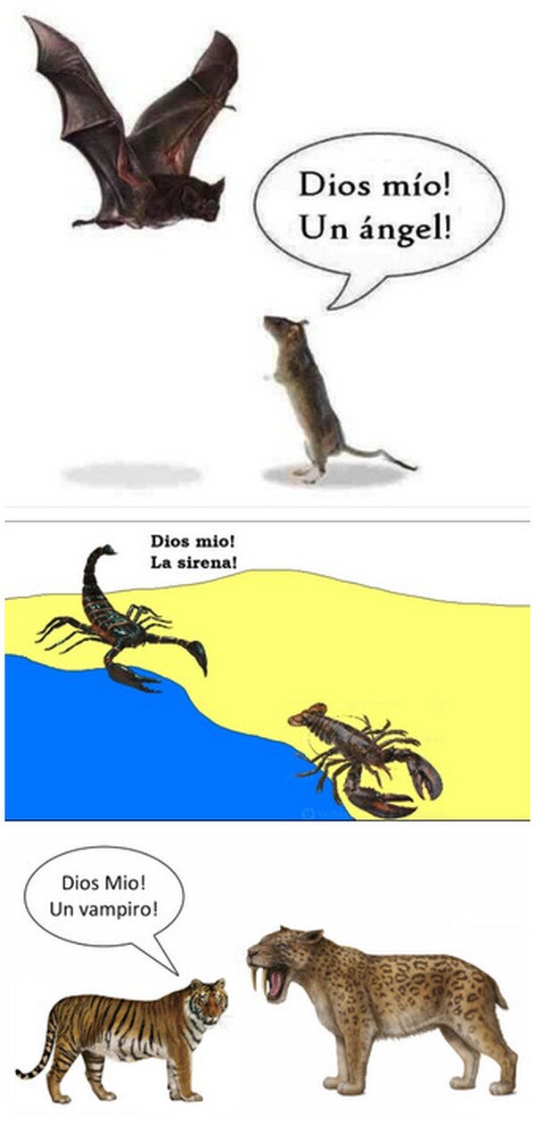 Meme_otros - Visto así...