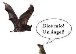 Enlace a Visto así...