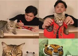 Enlace a Lo han clavado