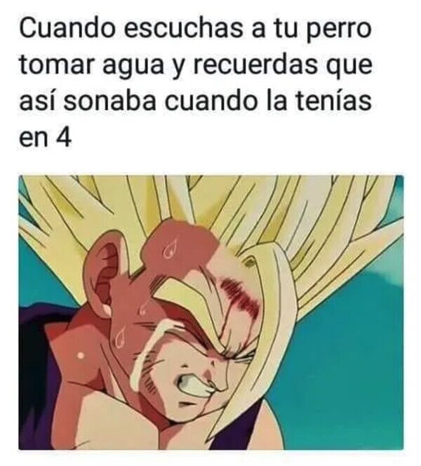 Meme_otros - Todo me recuerda a ella