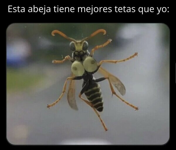 Otros - Envidia de la mala...