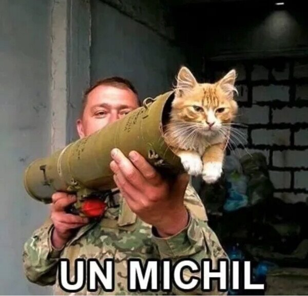 Otros - La tontería del día