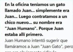 Enlace a La historia de Juan y Juan Humano