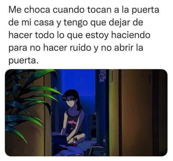 Meme_otros - No me gustan las visitas