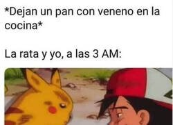 Enlace a Continúa la pelea