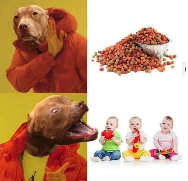 perros,comida,morder,ni&ntilde;os