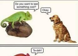 Enlace a Yo tan colorido y tú tan daltónico