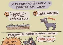 Enlace a La solución definitiva