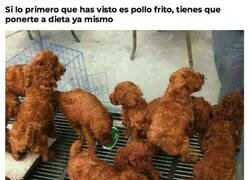 Enlace a Estás enfermo