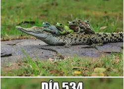 Enlace a Transporte arriesgado