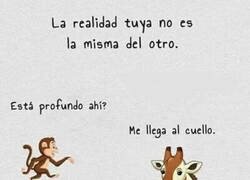 Enlace a Diferentes realidades