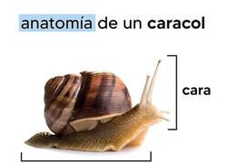 Enlace a Para que aprendáis un poco