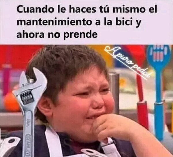 Otros - La debí dejar en manos de expertos