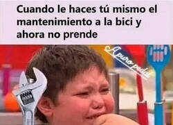 Enlace a La debí dejar en manos de expertos