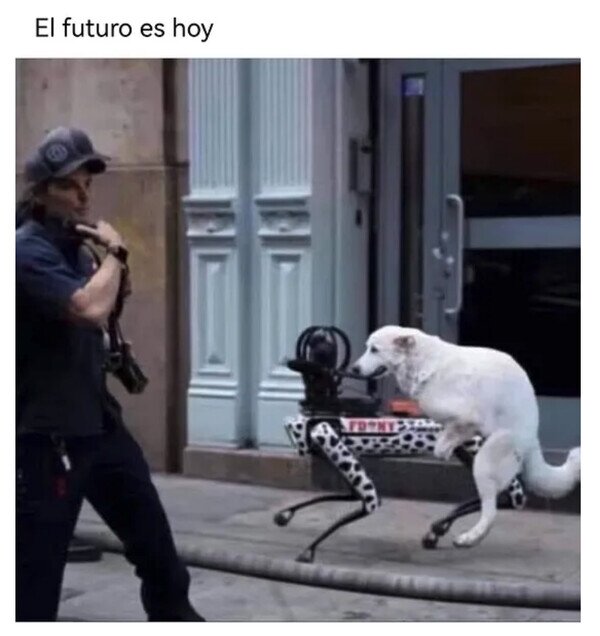perros,futuro,robot
