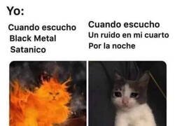 Enlace a Bipolar acústico