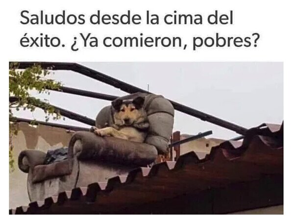 Otros - De mayor quiero ser como ese perro