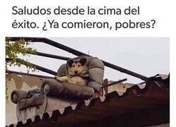 Enlace a De mayor quiero ser como ese perro