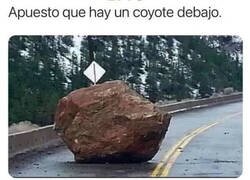 Enlace a No tengo pruebas pero tampoco dudas